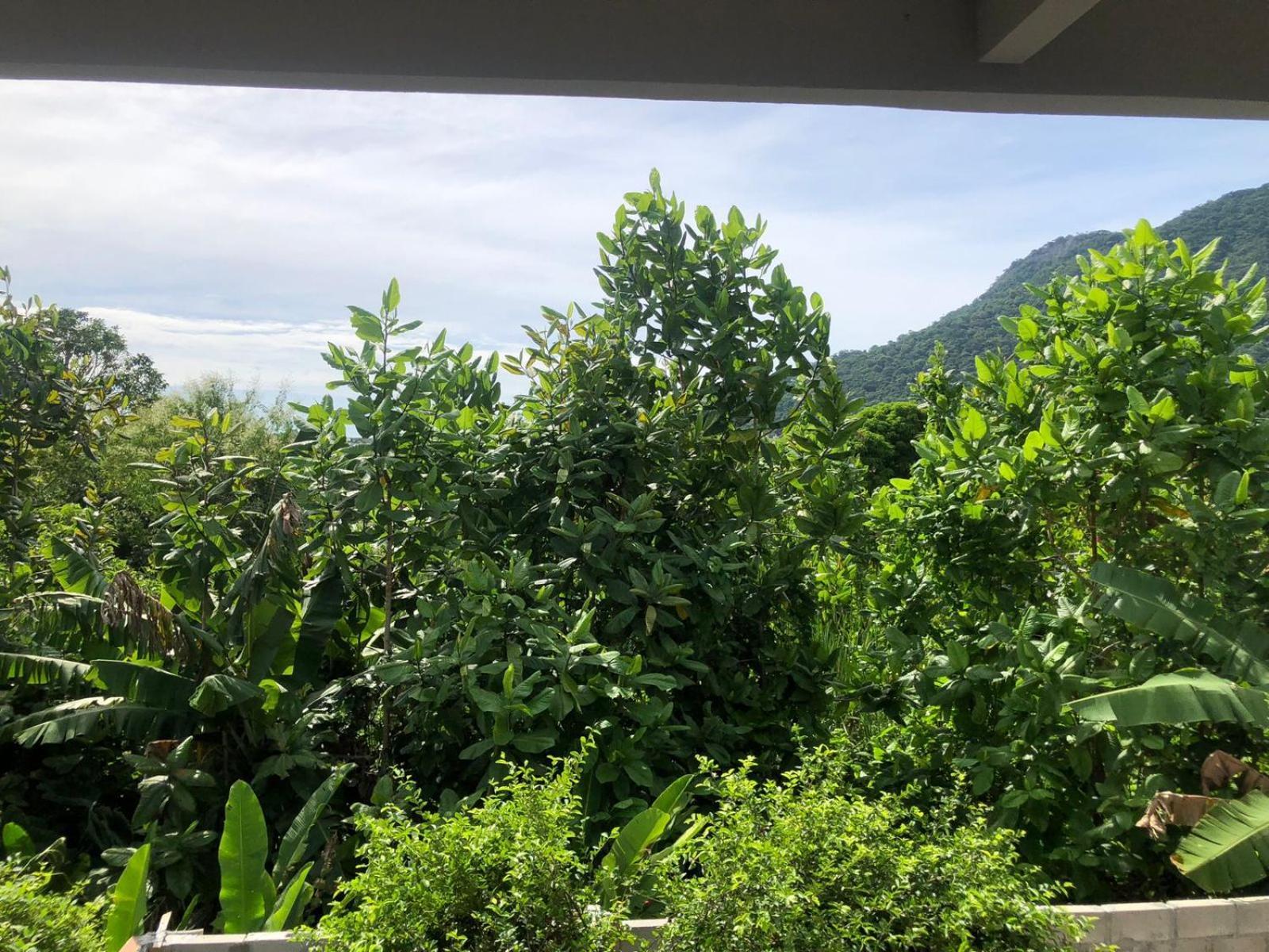 Villa Lorita - Suite Pantanal - Rio de Janeiro — Fotos 3